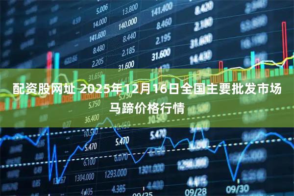 配资股网址 2025年12月16日全国主要批发市场马蹄价格行情